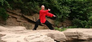 Wing Chun and Qi Gong, its role in Training