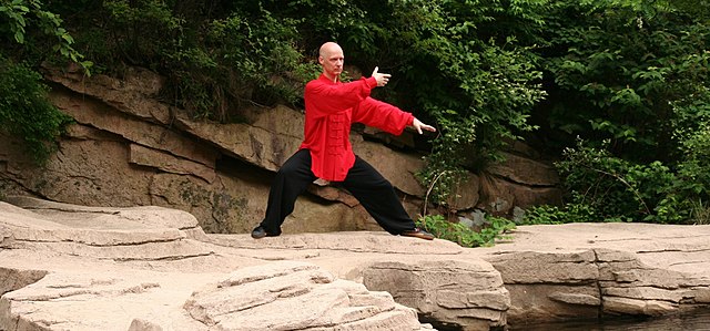 Wing Chun and Qi Gong, its role in Training